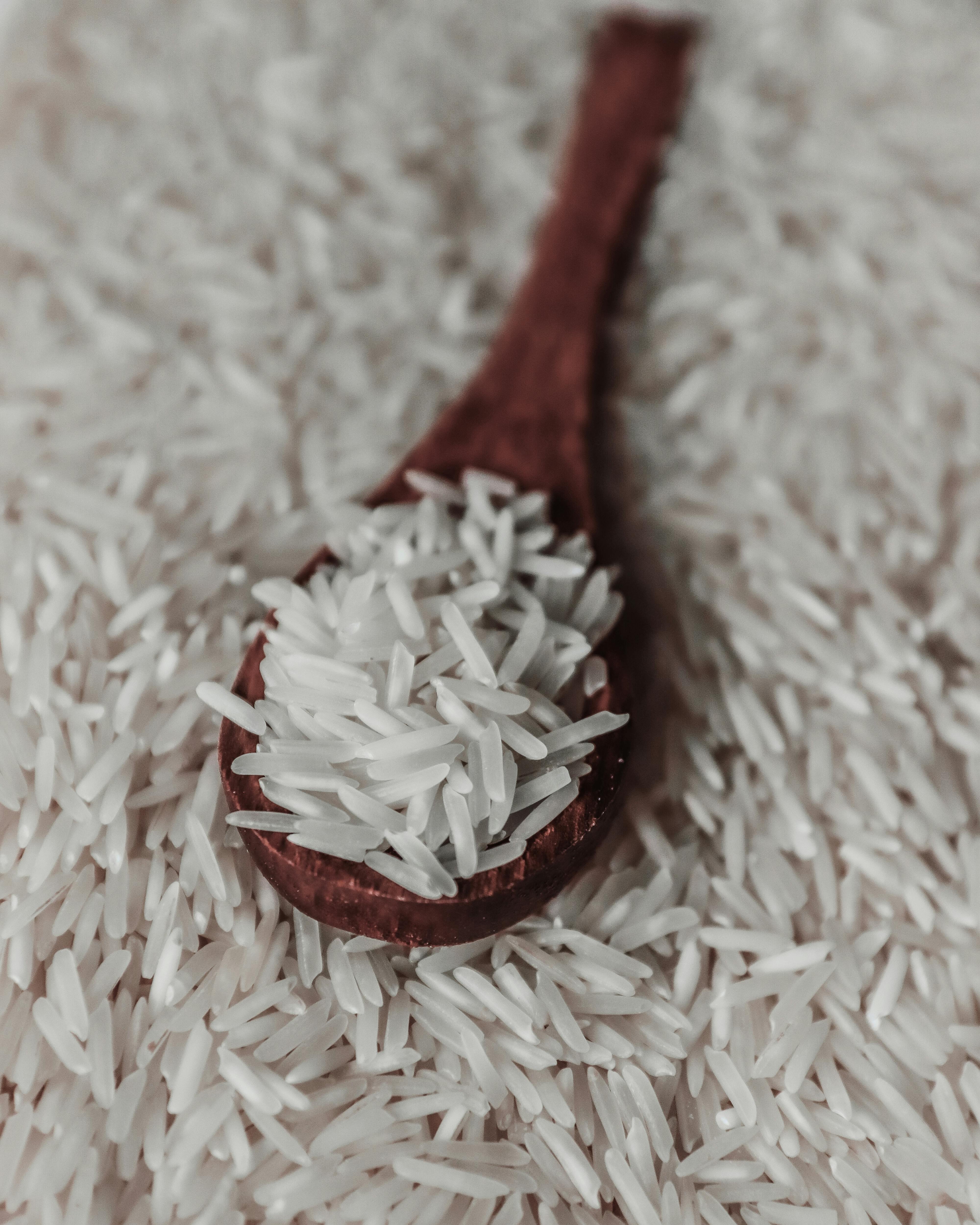 Premium Rice